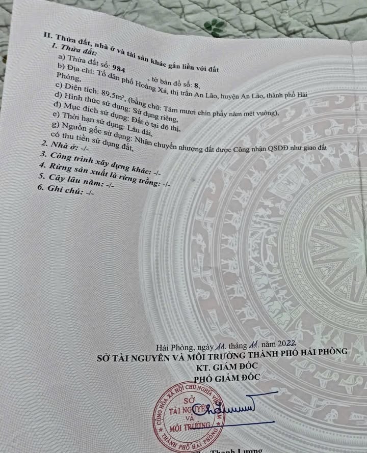 Đất nền Hoàng Xá, Thị Trấn An Lão 90m² giá 1 tỷ - Vị trí thuận lợi, dân cư đông đúc!