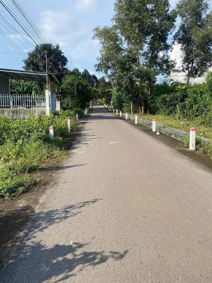 Đất Thị Trấn Xuân Lộc 125m² giá 1.25 tỷ - Gần Quốc Lộ, Mặt Tiền Đường Nguyễn Huệ!