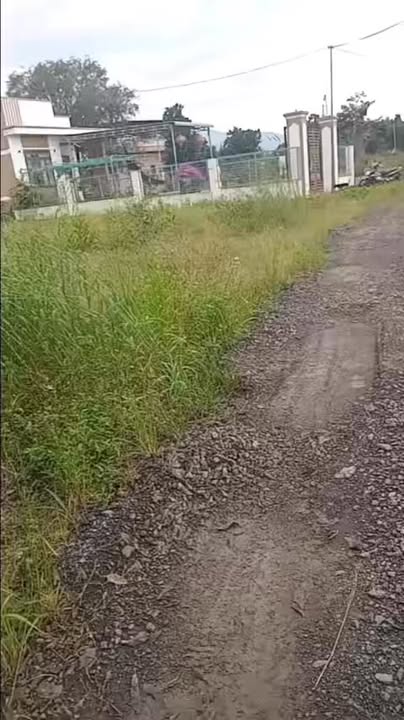 Đất nền Xuân Thọ, Xuân Lộc 7200m² giá 800 triệu - Cơ hội đầu tư sinh lời!