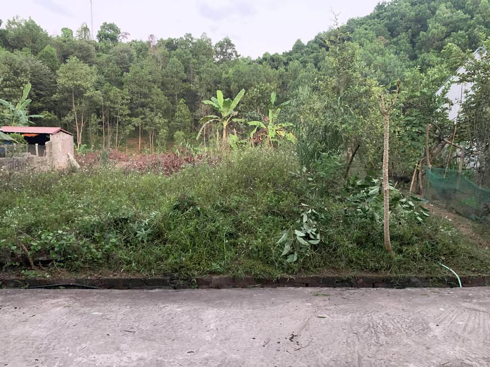 Bán đất Nguyễn Tất Thành, Yên Bình 198m² - Diện tích đẹp, không ngập úng!