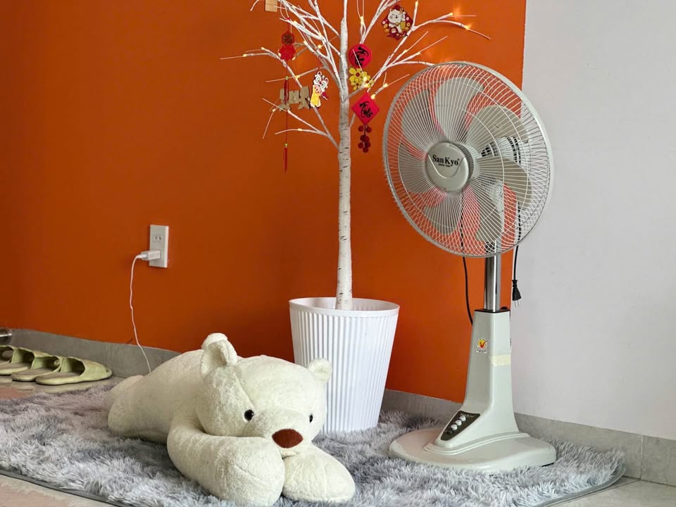 Room for Rent tại Phước Long, Nha Trang 6.3 triệu - Full nội thất hiện đại