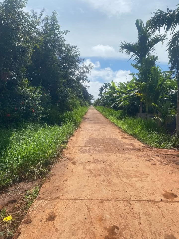 Đất thổ cư Phú Xuân 133m² giá chỉ 77 triệu - Cơ hội vàng cho đầu tư!