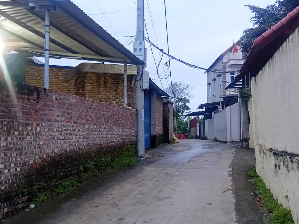 Đất nền Tân Minh, Sóc Sơn 100.5m² - Đầu tư tiềm năng sinh lời cao!