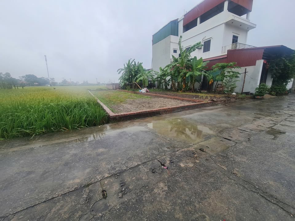 Lô đất Thụy Lâm, Đông Anh 150m² giá chỉ 5x triệu - Cơ hội sinh lời ngay!