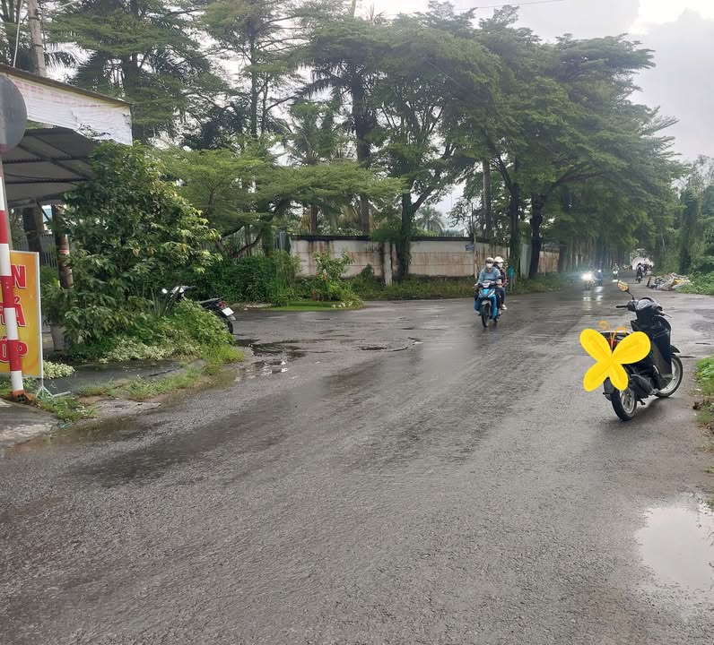 Nhà phố kinh doanh đường Lê Thị Hồng Gấm, Phú Hòa 85m² giá 2 tỷ - Cơ hội đầu tư hấp dẫn!