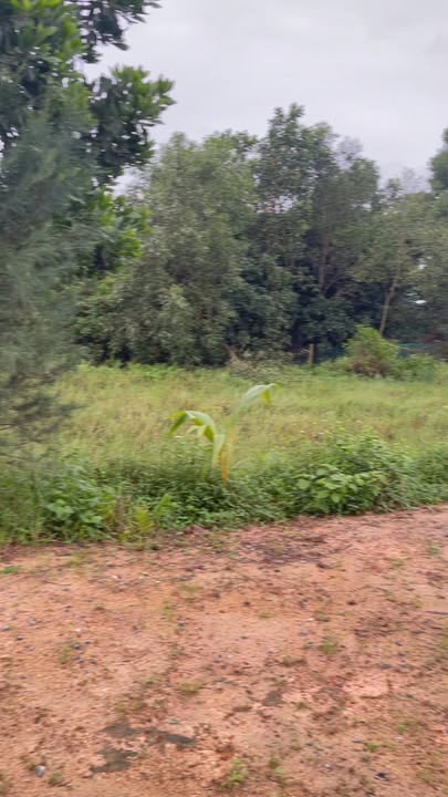 Đất nền Hương An, Quế Sơn 148m² giá 600 triệu - Cạnh quốc lộ, không lo lụt lội!