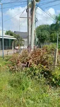 Đất nền Phước Thuận 139m² giá thỏa thuận - Cơ hội đầu tư tuyệt vời!