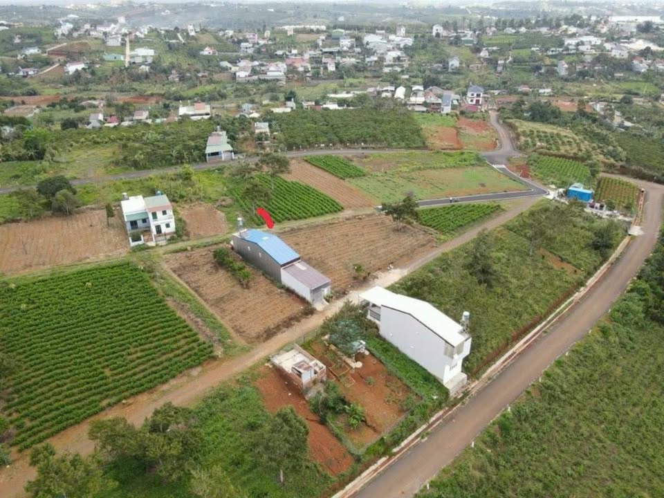 Nhà bán Hẻm 75 Trần Tế Xương, Bảo Lộc 100m² giá 860 triệu - Full thổ cư, gần chợ!