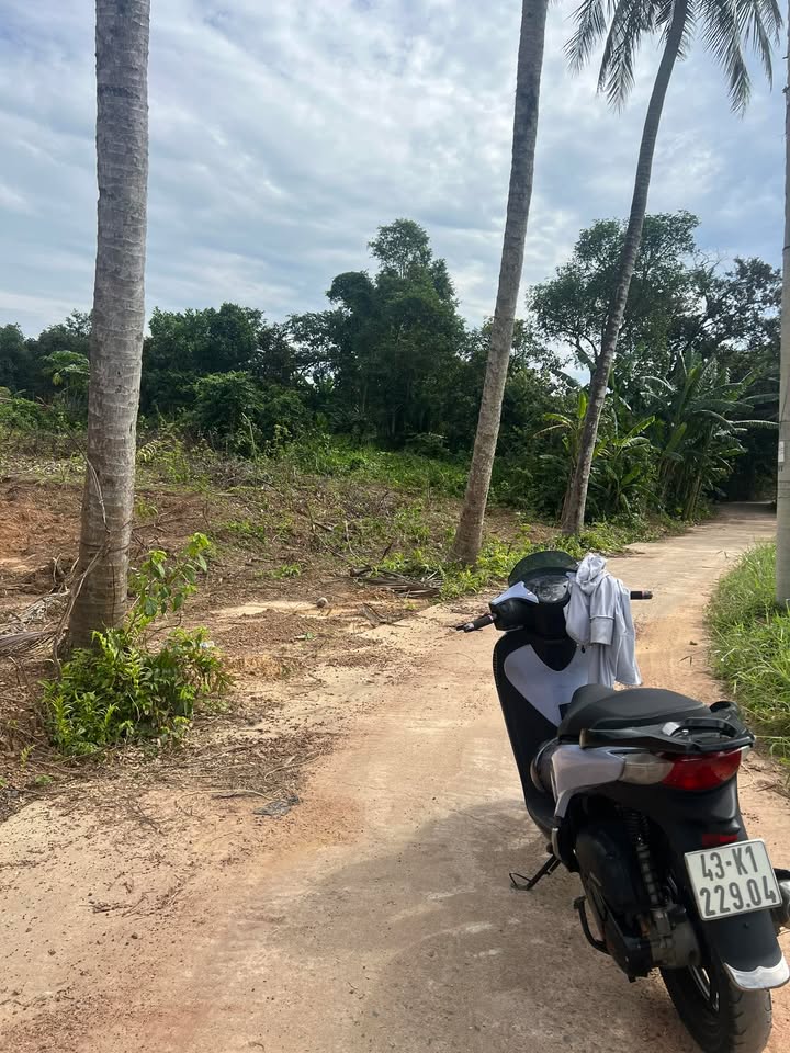 Đất ở Bà Nà, Hòa Vang, Đà Nẵng 152m² - Gần chợ, 2 mặt tiền