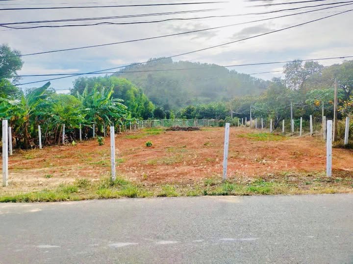 Đất nền Phước Tân - Xuyên Mộc 765m² giá 4.39 tỷ - View núi tuyệt đẹp!