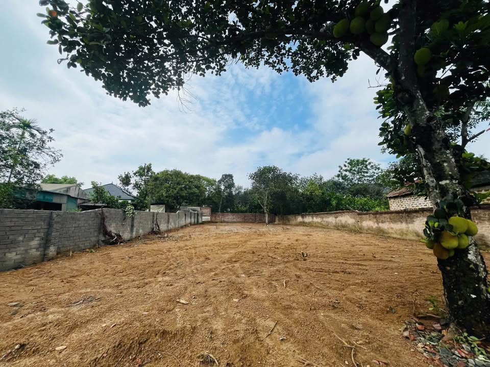 Đất nền Đoài Phương Ba Vì 611m² giá chỉ 1x triệu/m² - Ô tô vào tận nơi!