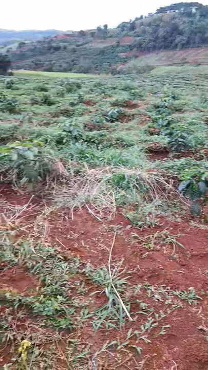 Đất nền đẹp tại xã Quảng Trực, Tuy Đức 700m² giá chỉ 700 triệu - Sổ hồng chính chủ!