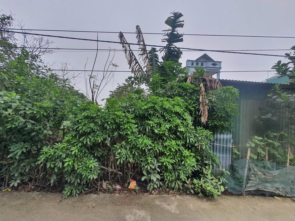 Đất nền Dã Tượng, Quảng Hưng 131m² giá 1.441 tỷ - Cơ hội đầu tư sinh lời!