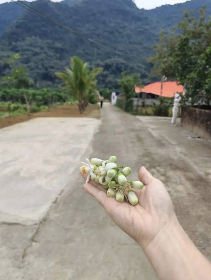 Đất nền Yên Thủy Hòa Bình 100m² giá 300 triệu - Cách hồ sinh thái chỉ 30m!