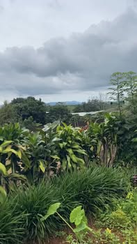 Đất thổ cư Bảo Lộc 650m² giá 975 triệu - Sổ đỏ chính chủ, đầu tư sinh lời!