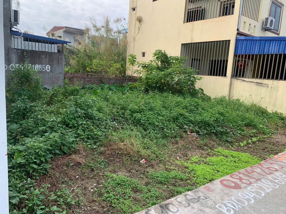 Đất nền An Đồng Hải Phòng 43m² giá 1.35 tỷ - Bán gấp, giá tốt!