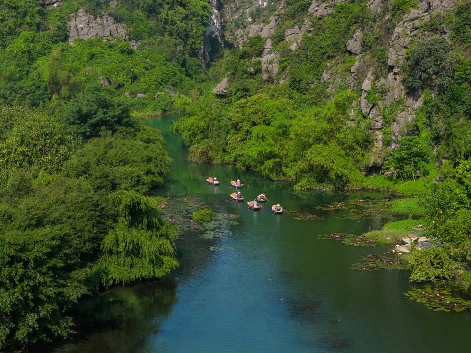 Đất nền Hợp Đức - Đồ Sơn 109,5m² giá chỉ 999 triệu - Cơ hội đầu tư tuyệt vời!