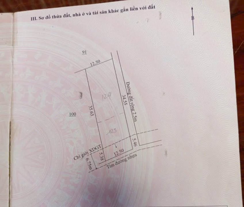 Đất nền chính chủ đường Nguyễn Tường Tộ, Pleiku 437m² - Pháp lý đầy đủ, giá thỏa thuận!