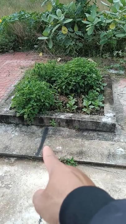 Đất nền Bùi Thị Xuân Quy Nhơn 100m² giá chỉ 1.25 tỷ - Đầu tư sinh lời ngay!