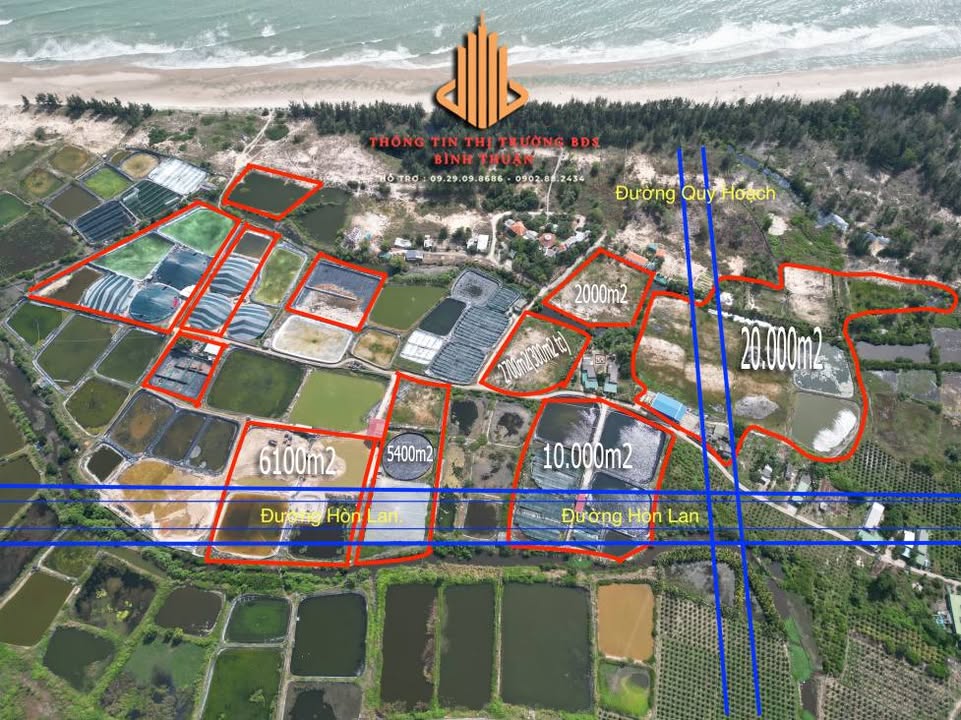 Đất mặt tiền Tân Thuận, La Gi 20.000m² - Sát biển, vị trí đắc địa!