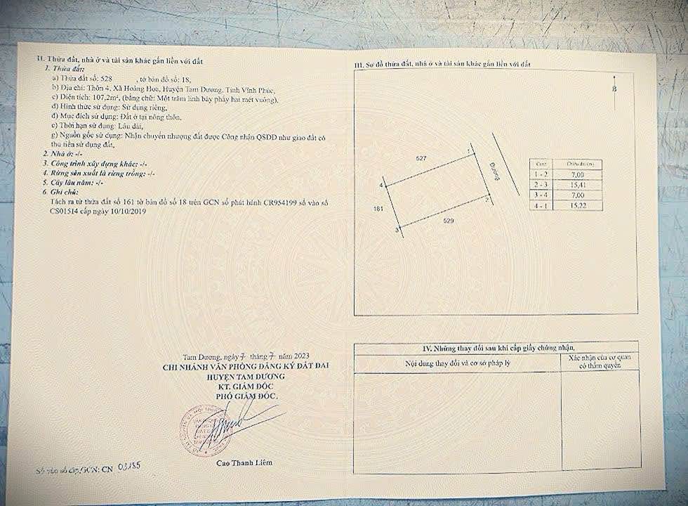 Đất nền Hoàng Hoa, Tam Dương, Vĩnh Phúc 102m² giá 1.9 tỷ - Đầu tư sinh lời ngay!