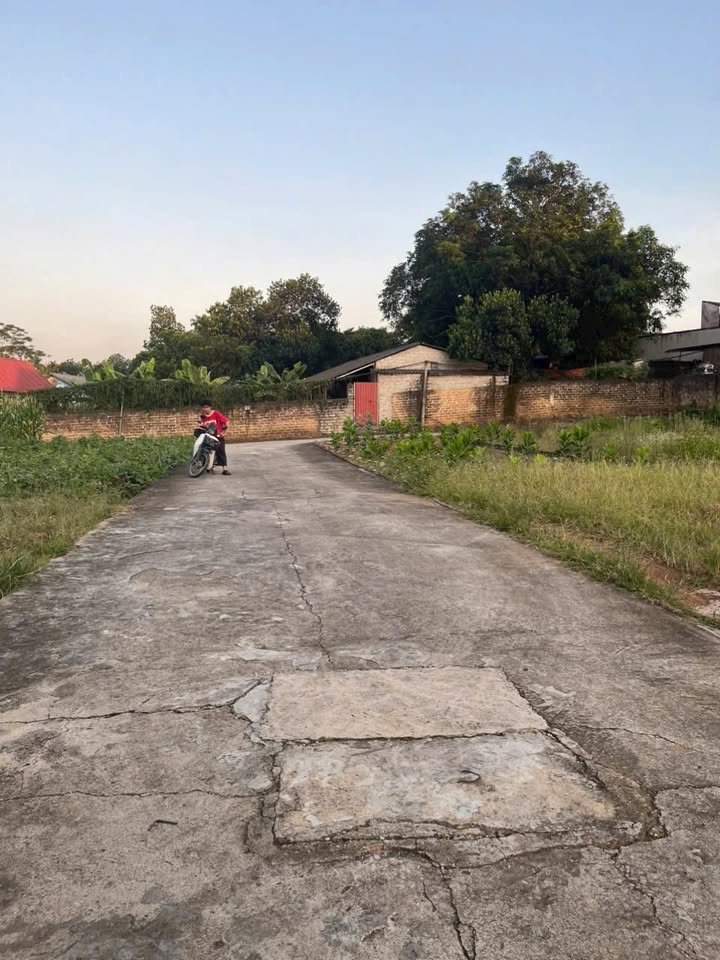 Đất ở Thụy An, Ba Vì 133m² giá 1.1 tỷ - Đầu tư sinh lời hấp dẫn!