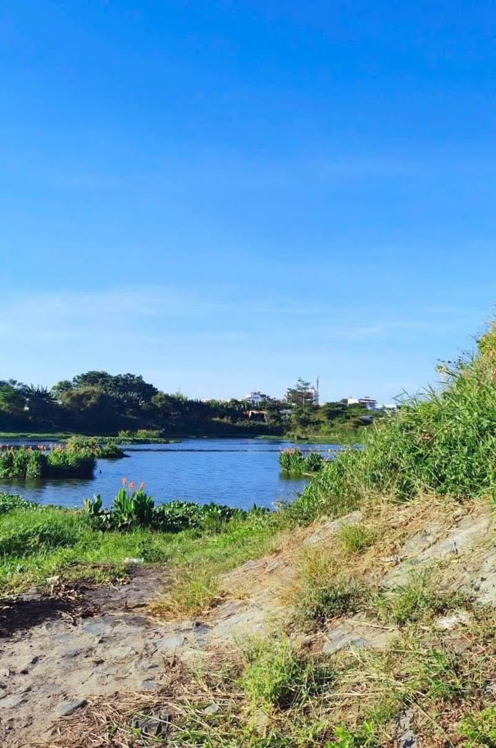 Đất nền trung tâm Liên Chiểu Đà Nẵng 91.5m² giá chỉ 4.9 tỷ - Cơ hội vàng đầu tư!