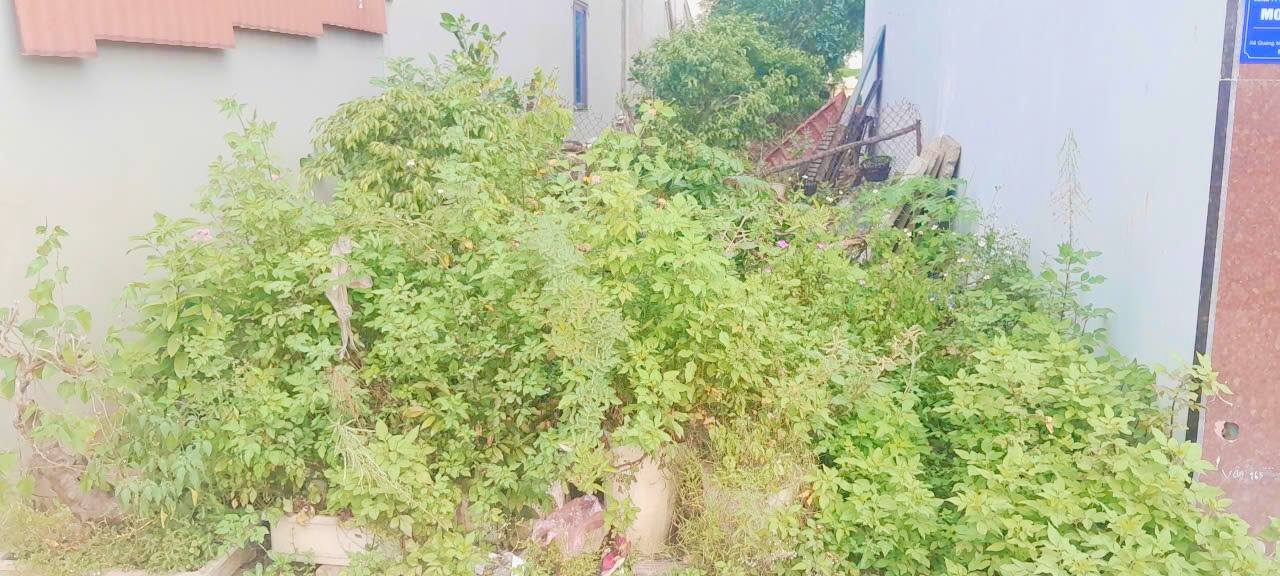 Đất nền Kim Chung Đông Anh 80m² giá chỉ 5 tỷ - Đầu tư sinh lời ngay!