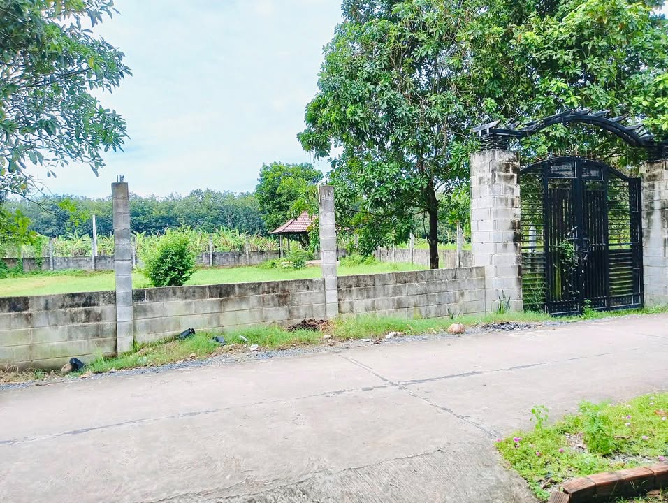 Đất thổ cư 1228m² tại hẻm 6m đường Trung An, Củ Chi - Cơ hội đầu tư lý tưởng!