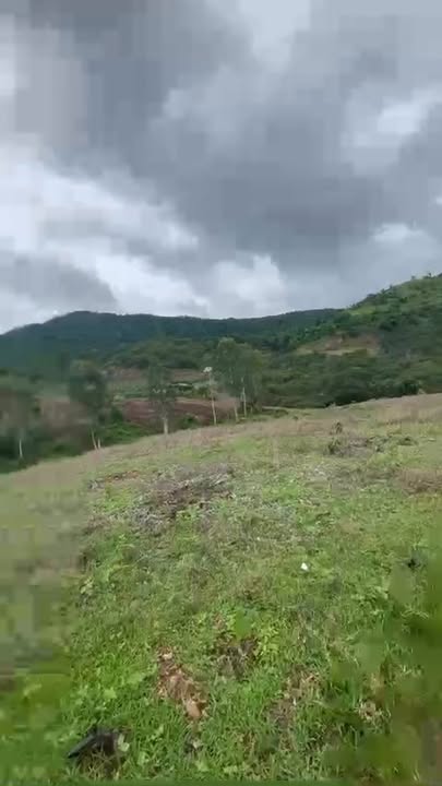 Đất Farm 8ha Tân Nghĩa Hàm Tân - Cách Quốc Lộ 1A chỉ 2km, Sẵn nhà cấp 4!