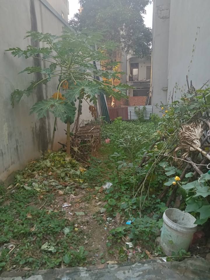 Đất Bằng Liệt Hoàng Mai 51m² giá 7 tỷ - Nở hậu, view hồ thoáng đãng!