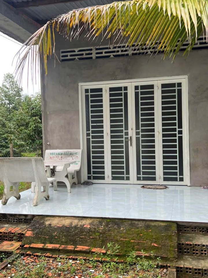 Đất nền 504.3m² tại Hoa Nghĩa, Chợ Lách - Giá chỉ 500 triệu!