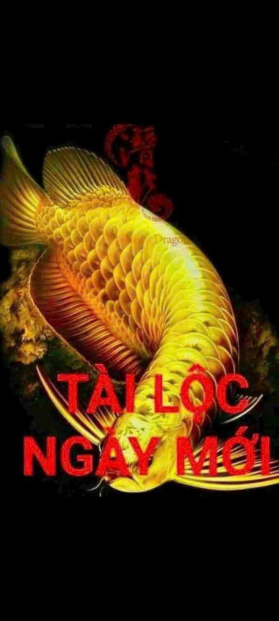 Căn nhà mặt tiền Đường Láng Le Bàu Cò, 216m² chỉ 7,2 tỷ - Kinh doanh đắc lợi!