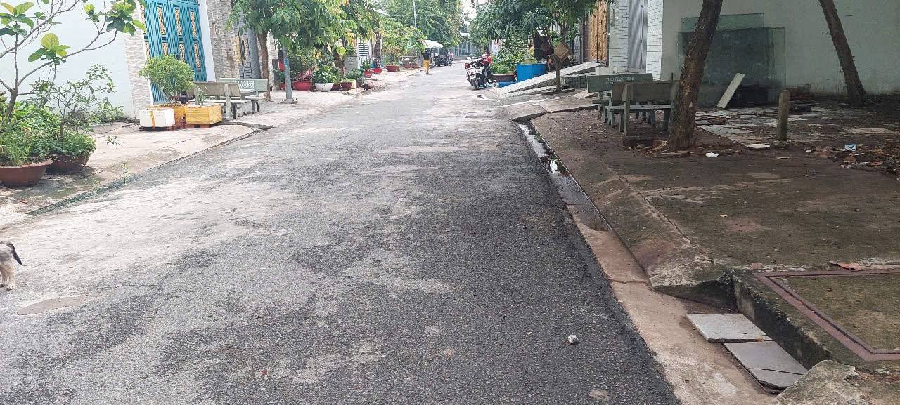 Bán gấp nhà vườn Hưng Long, Bình Chánh 485m² - Đầu tư nghỉ dưỡng lý tưởng!