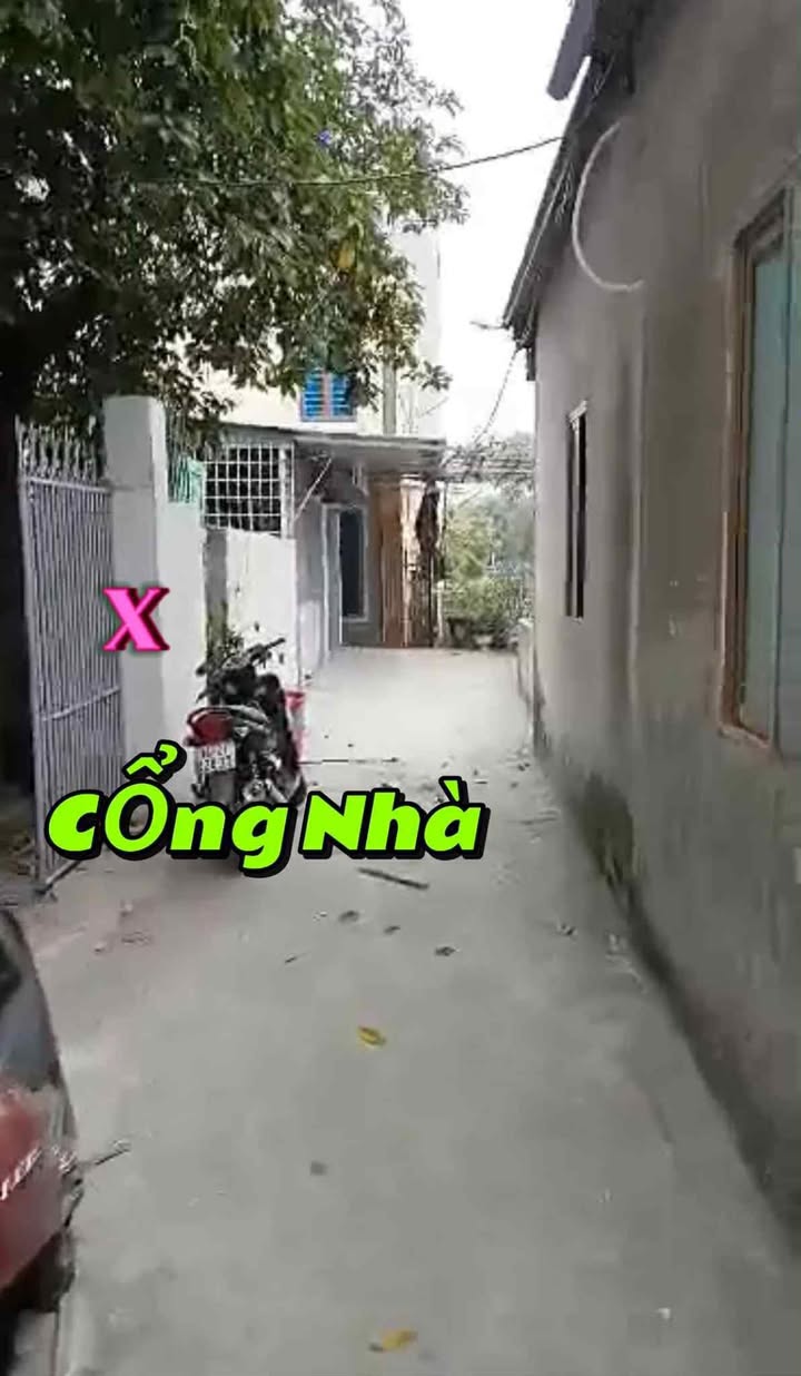 Bán đất tặng nhà cấp 4 tại Mạo Khê, 79.3m² - Nhà ở ngay, đầy đủ tiện nghi!