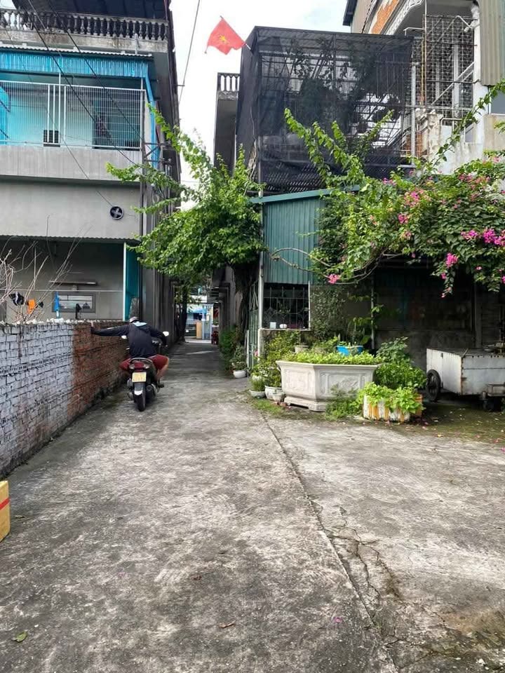 Đất đẹp Khu Công Nông, Mạo Khê, Đông Triều 100m² giá 1 tỷ - Cơ hội vàng cho nhà đầu tư!