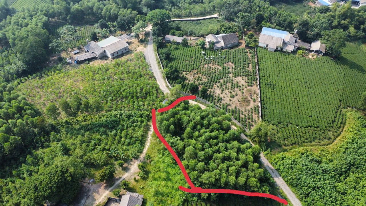 Đất thổ cư tại Cù Vân, Đại Từ 900m² giá 400 triệu - Cơ hội đầu tư tuyệt vời!