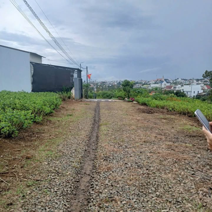 Đất nền 75 Trần Tế Xương, Bảo Lộc 100m² giá 899 triệu - Sổ hồng chính chủ!