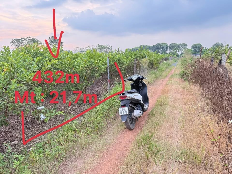 Đất vườn Sài Sơn Quốc Oai 432m² - Không gian an lành giữa lòng thiên nhiên!