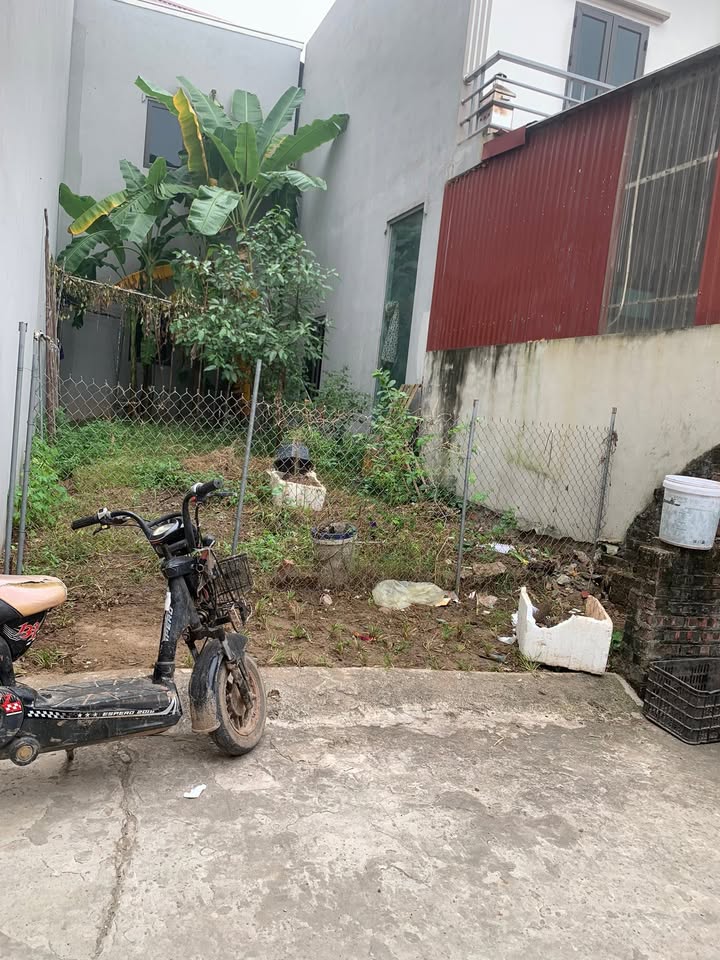 Đất nền Ngọc Tảo, Phúc Thọ 52m² giá 2 tỷ - Đường ô tô thông thoáng!