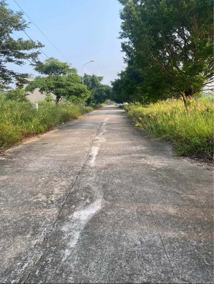 Đất nền 100m² tại trục chính đô thị Hoài Nam, Phúc Yên - Đầu tư sinh lời!