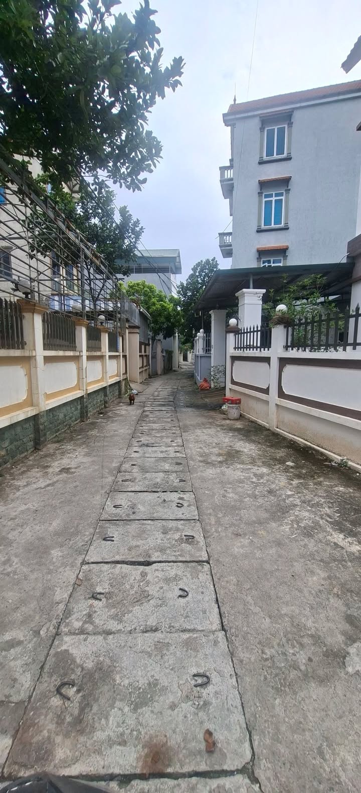 Đất nền 50m² phường Đồng Mai, Hà Đông giá chỉ 3.1 tỷ - Cơ hội đầu tư hấp dẫn!