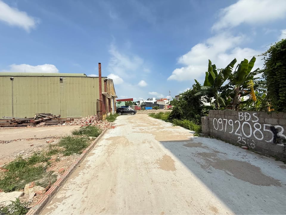 Đất nền Thôn Bạch Mai, Xã Đồng Thái 60m² giá 1.8 tỷ - Sổ đỏ chính chủ