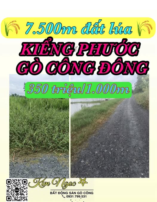Đất lúa Kiểng Phước Gò Công Đông 7.500m² giá 350 triệu - Tiềm năng đầu tư lớn!