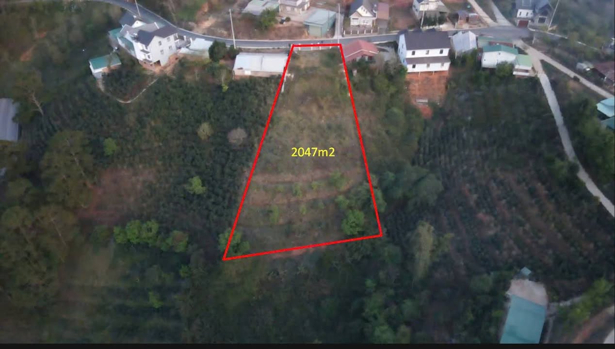 Đất nền xã Xuân Thọ, Đà Lạt 2047m² giá 24.564 tỷ - View rừng thông tuyệt đẹp!