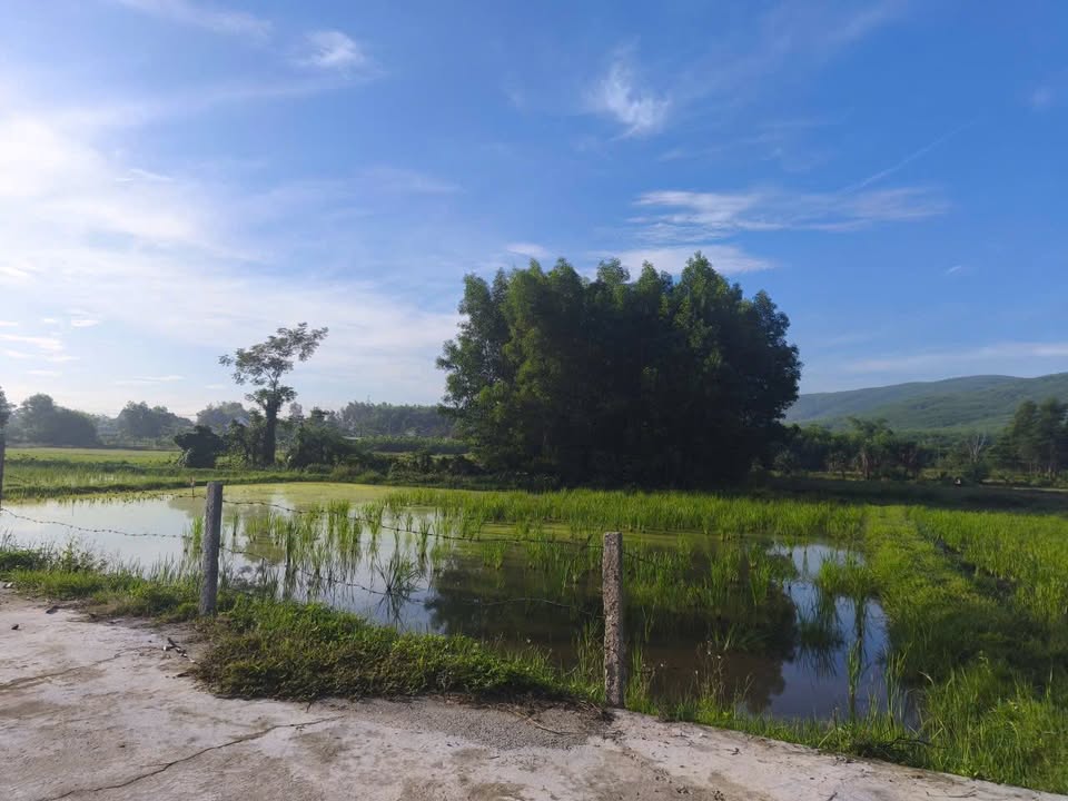 Đất thổ cư Hòa Tiến 120m² giá 800 triệu - View cánh đồng, núi