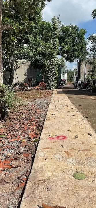 Đất nền Bầu Sen Xuân Lộc 105m² giá 930 triệu - Sổ riêng chính chủ