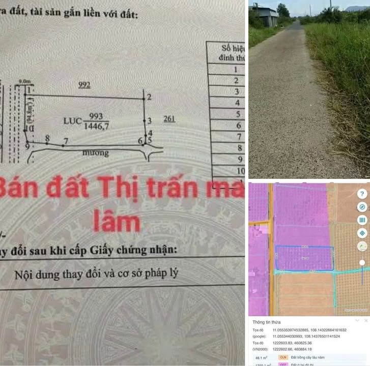 Đất thổ cư 5400m² tại thị trấn Ma Lâm, giá 799 triệu - Sổ đỏ chính chủ