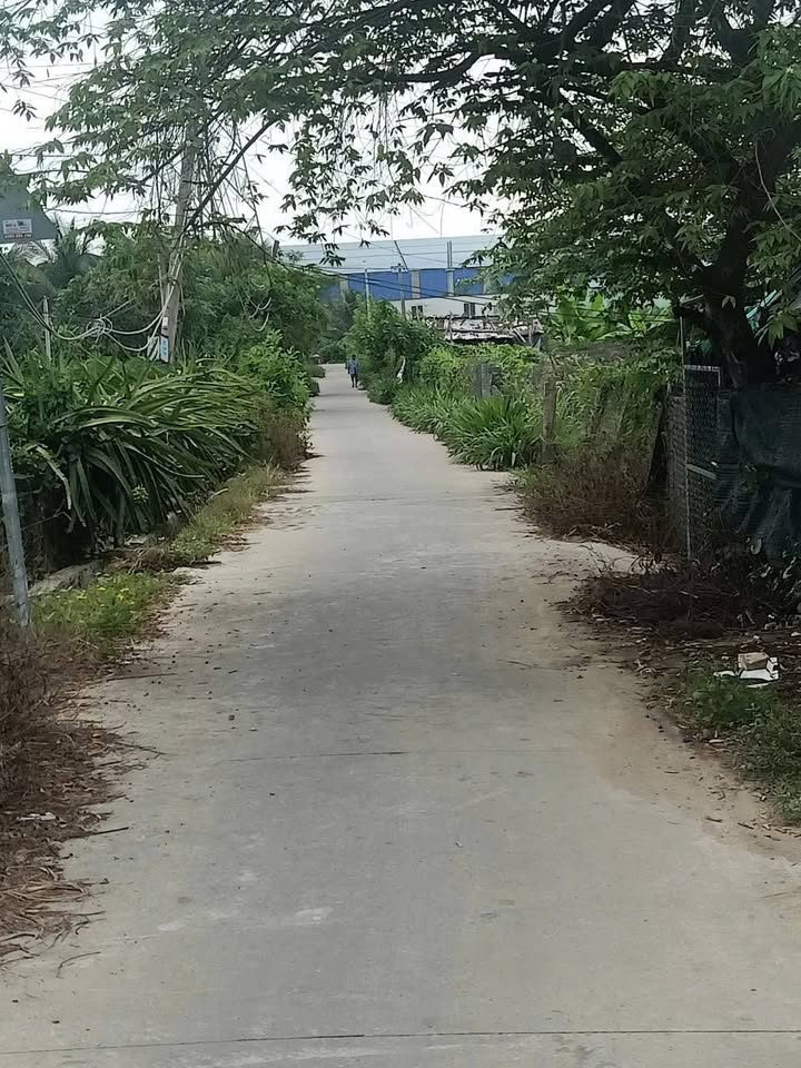 Đất vườn 23000m² tại Hòa Tịnh, Chợ Gạo - Giá chỉ 2,5 tỷ!