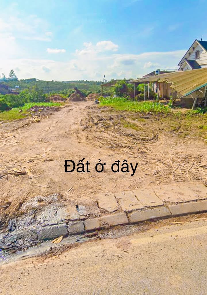 Đất nền xã Bình Sơn, Lục Nam, Bắc Giang 120m² giá 1.1 tỷ - Đầu tư sinh lời ngay!